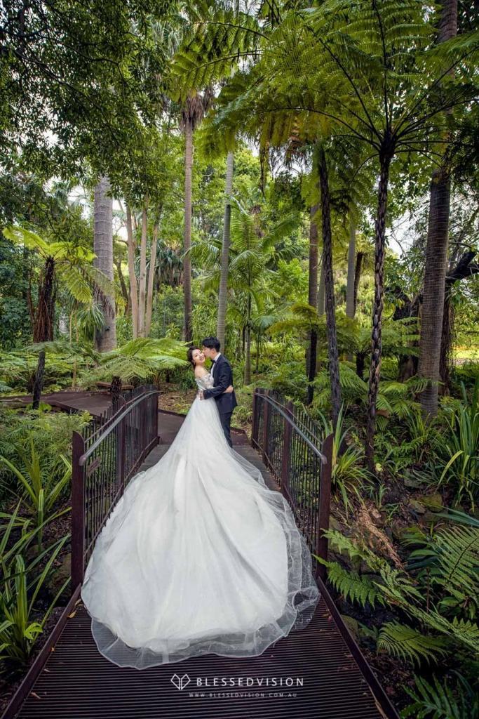 Royal Botanic Garden Prewedding Wedding Photography Melbourne Syndey Australia 墨尔本 婚纱摄影 婚纱照 蜜月照 旅拍 悉尼 澳大利亚 (1 of 5)