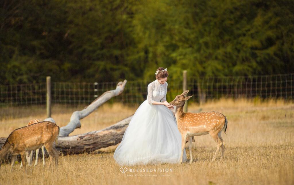 Deer Farm retro vintage Prewedding Wedding Photography Melbourne Sydndey Australia (4 of 35)