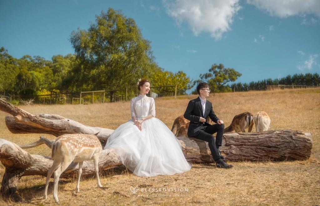 Deer Farm retro vintage Prewedding Wedding Photography Melbourne Sydndey Australia (4 of 35)