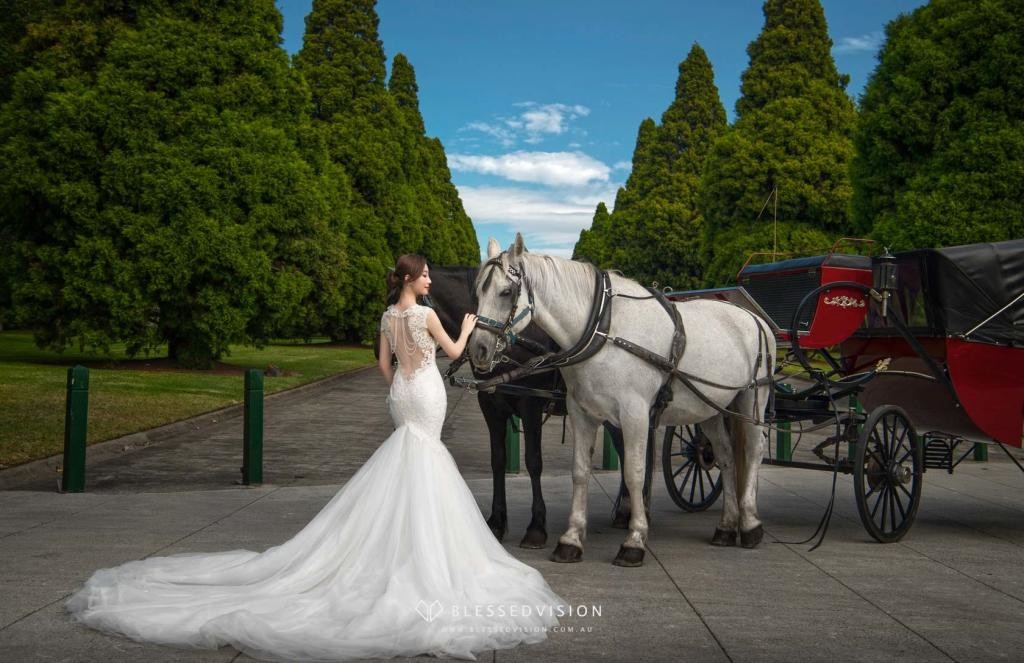 Vintage Horse Carriage retro Prewedding Wedding Photography Melbourne Sydney Australia (3 of 21)