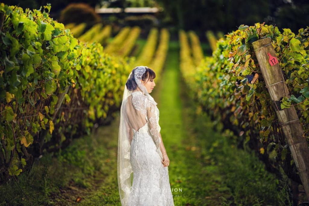 winery vineyard retro Prewedding Wedding Photography Melbourne Sydney Australia (1 of 12)